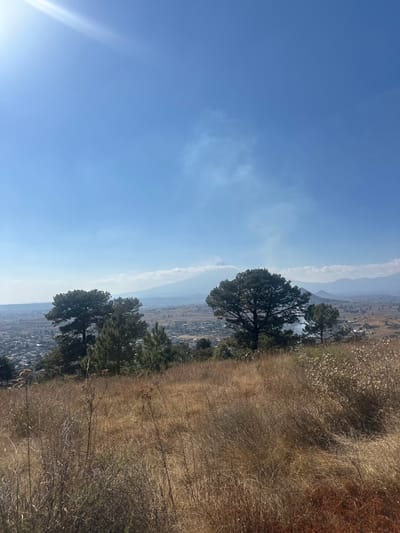A high-angle shot reveals a vibrant blue sky with subtle cloud formations. Below, a landscape unfolds with two prominent trees overlooking a distant city nestled between mountains. Dry, brown grasses and vegetation occupy the foreground, leading towards the city view. The composition suggests a vantage point from a hillside.