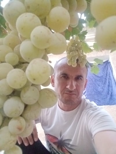 A man is taking a selfie outdoors in front of a vineyard. He is wearing a white t-shirt. There are grapes hanging in front of him and a blue tarp in the background. The man appears to be in his 40s or 50s. The scene suggests a rural or semi-rural location, consistent with an agricultural setting in or around Karagana, Uzbekistan.