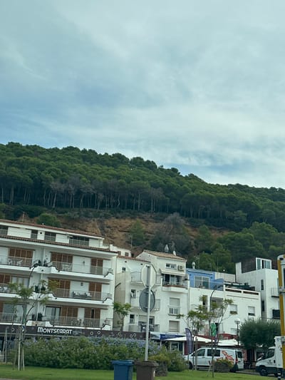 This image depicts a coastal urban landscape in L'Estartit, a town within the municipality of Torroella de Montgrí, Spain.
The scene is dominated by a densely forested hill in the background, covered predominantly with dark green conifer trees. A section of the hill in the middle shows an exposed reddish-brown earth slope with a cluster of bare or lighter-foliaged trees. Above the hill, the sky is overcast with a light grey hue and wispy cloud formations.
In the midground, at the base of the hill, a row of multi-story white buildings with terracotta-tiled roofs is present. The most prominent building, visible from the lower-left to the center, is a four-story structure featuring balconies with white railings and light brown, slatted wooden shutters on each floor. The ground floor of this building displays a dark sign with the name "MONTSEARAT" in white lettering. To the right, additional white residential or commercial buildings are visible, some with similar balconies and one featuring a distinctive light blue facade section on its upper level. Satellite dishes and air conditioning units are affixed to the exteriors and rooftops of these structures.
The foreground consists of a narrow strip of green grass and flowering bushes with purple-blue blossoms. Two waste bins, one blue and one brown, are situated on this grass strip. Partially obscured by the green strip and a grey circular road sign on a pole, a paved street or pathway is visible. Several vehicles, including a white van with dark windows and a larger white utility vehicle, are parked or driving along this area.
No individuals are visible in the image, and no discernible actions or interactions are occurring. The lighting is diffused, indicating an overcast daytime condition.