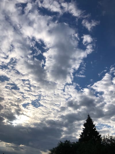The image depicts a dark silhouette of a tall evergreen tree against a sky filled with dramatic, swirling clouds. The clouds are a mix of dark gray and white, with patches of blue sky visible through them. The sun is partially obscured by the clouds, creating a bright, diffused light. Below the tree, a line of darker foliage is visible, suggesting a wooded area or park. The overall impression is one of a moody, overcast day. The location is identified as Uriupino, Russia.