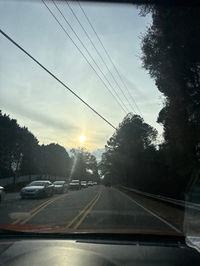 A view from inside a car, looking out onto a tree-lined road with a line of parked cars. The sun shines brightly in the sky, creating a hazy effect. Power lines stretch across the sky. The road has double yellow lines. Dark trees frame the top and bottom of the view.