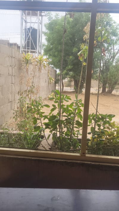 The image is taken from indoors, looking out through a window with a screen. The view is of an outdoor area in Badiko, Nigeria. Outside, there is a brick wall, various types of plants and trees, and a distant water tower. The sky is overcast. No people are visible.