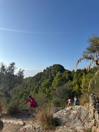 This image captures a bright, sunny outdoor scene in Deià, Spain, featuring four individuals on a rocky, unpaved path amidst a mountainous, densely forested landscape. The upper portion of the frame is dominated by a clear, light blue sky with a faint, horizontal contrail visible in the upper left quadrant.

The terrain in the foreground and mid-ground consists of grey rock formations, patches of exposed dirt, and clumps of dry, yellowish-brown grasses and green scrub brush. A gnarled tree trunk is visible on the far left, partially cropped, and a stone wall constructed from rough-hewn rocks runs along the far right. In the mid-ground and background, dense green trees, consistent with Mediterranean pines and other vegetation, cover rolling hills, with a hazy lighter blue area on the distant horizon suggesting a view towards the sea or lower elevations.

Four individuals are positioned on the path, suggesting movement or hiking. On the mid-ground left, a female wearing a bright pink long-sleeved top and dark open-toed footwear is depicted stepping down onto a lower section of the path, leaning forward with her right arm extended and a dark patterned bag slung over her left shoulder. To her right and slightly behind, a second female, dressed in a light-colored sleeveless top and dark shorts, walks with a walking stick in her right hand. Behind her, a third female in a light blue long-sleeved top, carrying a light-colored bag, also traverses the path. A fourth individual is partially visible on the far left foreground, showing only legs in a white garment and a light-colored bag. Sunlight illuminates the scene from the right, casting subtle shadows.