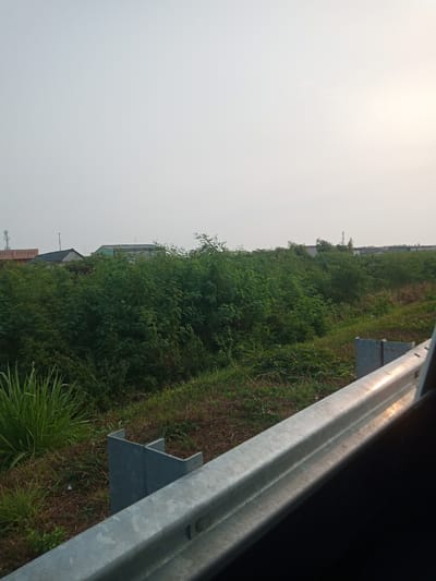 The image captures a roadside view in Salembaran Jati, Indonesia, characterized by lush green vegetation and a clear sky. In the foreground, a section of a silver guardrail runs diagonally across the frame, reflecting the ambient light. Beyond the guardrail, the ground is covered in a mix of grass and dry earth. A dense patch of tall, vibrant green grass is prominent on the left side of the image, contrasting with the surrounding vegetation.

Further into the background, a thick expanse of green bushes and trees dominates the landscape, creating a natural barrier. Peeking through the foliage, several buildings are visible. These structures appear to be low-rise residential or commercial buildings, some with visible rooftops and antennas. The sky above is a pale, uniform gray, suggesting an overcast or early morning/late evening light. The overall scene depicts a semi-urban or suburban environment where nature is reclaiming the edges of development. There are no people or animals visible in the image.