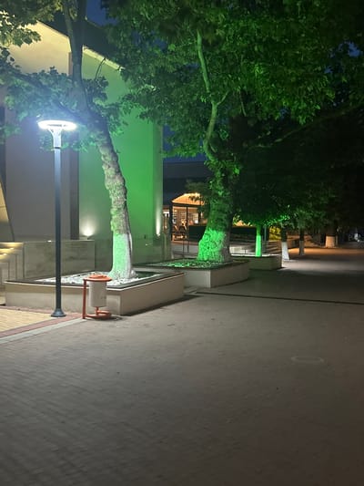 This nighttime image depicts an urban or semi-urban pedestrian area in what is identified as Dzhebel, Bulgaria. The scene is dominated by large, leafy trees, particularly one on the left whose trunk and lower branches are strikingly illuminated with a vibrant green light, contrasting against the dark blue sky. Other parts of the tree's foliage are also lit green, while some areas remain shadowed.
The ground is paved with rectangular blocks, suggesting a sidewalk or plaza. Various artificial light sources are visible; a modern street lamp with a bright white, circular light stands prominently in the lower left foreground, and other ambient lights cast glows on the surrounding structures and foliage. In the mid-ground, there are concrete planters or benches, and a white trash bin with an orange-red frame is positioned next to one of them.
In the background, building facades are visible. One building, possibly a restaurant or cafe, shows a brightly lit interior through a large window, revealing several blurry figures seated at tables, indicating social activity. The overall atmosphere is quiet and ambient, defined by the interplay of deep shadows and the distinct green and white artificial lighting. No specific event is taking place beyond general evening urban life. There is no discernible text visible in the image. The weather appears clear.