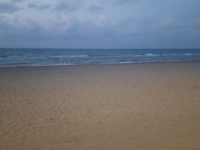 The image shows a sandy beach with gentle waves lapping at the shore under a cloudy sky. The sky is a muted blue-grey, with soft, diffused light, suggesting it might be early morning or late evening. The sea is a similar shade of blue, with small white crests on the waves. The sand is a light brown color and appears mostly smooth, with some scattered small pebbles or shells. In the distance, along the waterline, two white birds, likely seagulls, are visible on the sand. The scene is tranquil and uncluttered, with the horizon line dividing the sea and sky. This beach is located in Atakum, Turkey, a district known for its coastline along the Black Sea.