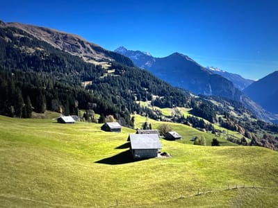 The image displays a scenic mountain landscape under a clear blue sky. In the foreground, rolling green hills are dotted with several small, rustic wooden structures with grey roofs, resembling barns or sheds. These buildings are scattered across the grassy slopes, some casting long shadows, indicating a sunny day.

Further up the slopes, dense evergreen forests cover the mountainside, transitioning into sparser vegetation and rocky terrain at higher elevations. The background is dominated by imposing, majestic mountain peaks, some of which are capped with snow. The overall impression is one of a tranquil, rural alpine setting.

This scene is located in the Swiss Alps, though it is not specifically within the city limits of Porrentruy, Switzerland, which is situated in the Jura Mountains and known for its historic castle and medieval town, not this type of high alpine scenery. The photograph captures a typical vista of the Swiss countryside, likely a region known for its natural beauty and outdoor recreation. There are no people visible in the image.