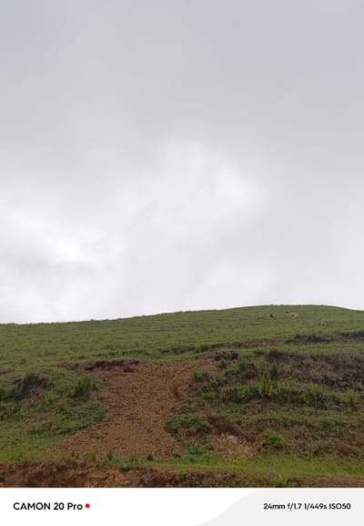 In the city of Nguroje, Nigeria, an outdoor, daytime photograph captures a pastoral scene. The upper two-thirds of the frame are dominated by a pale, overcast sky. The lower third features a grassy hillside, a dirt path, and scattered vegetation. Several sheep are visible grazing on the upper slope of the hill. The foreground is partially obscured by a white overlay with text indicating "CAMON 20 Pro" and "24mm f/1.7 1/449s ISO50". The image is horizontally oriented.