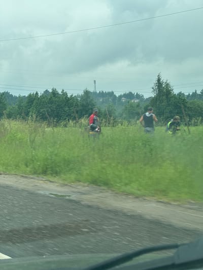 The image depicts a scene in the city of Korabsel'ki, Russia, featuring four individuals in a grassy area with trees in the background. The sky is overcast with visible power lines and a distant tower. In the foreground, a dirt or gravel road is wet, suggesting recent rain.

Three individuals are discernible in the mid-ground, engaged in activity. The person on the left is wearing a red and black outfit and appears to be operating a piece of equipment, possibly a weed wacker. To the right of this person, another individual is seen wearing a dark sleeveless shirt and dark shorts. Further to the right, a fourth person is present, wearing a high-visibility vest over dark clothing and is bent over, possibly working. The fourth person is slightly obscured by the tall grass.

The environment is characterized by lush green grass and trees, indicating a rural or semi-rural setting. The overall lighting is diffused due to the cloudy sky. The image appears to have been taken from a moving vehicle, as evidenced by motion blur in the foreground and a slight tilt to the perspective.