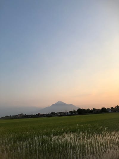 The image captures a tranquil rural scene at dusk, likely on the outskirts of Sentul, Indonesia. A vast, vibrant green rice paddy dominates the foreground, its young rice stalks standing in shallow water that reflects the fading light. The waterlogged field stretches towards a distant, hazy treeline and a scattering of houses, hinting at a nearby village or settlement.
Beyond the treeline and dwellings, a majestic mountain range rises, its peaks softened by the atmospheric conditions of the evening. The sky above is a gradient of soft blues and oranges, transitioning from a clear, pale blue near the zenith to a warm, sunset glow near the horizon. The overall impression is one of peace and natural beauty, typical of the Indonesian countryside during twilight.