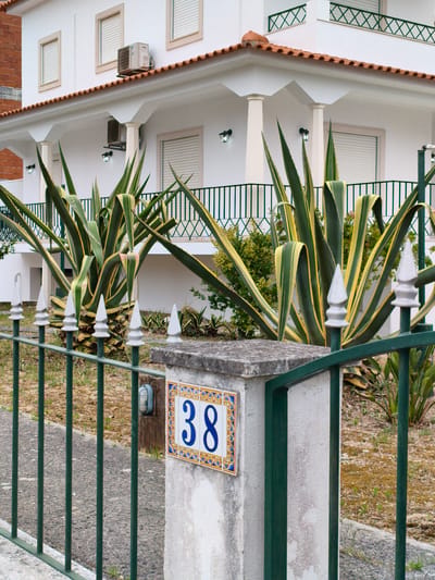 This image depicts the exterior of a modern residential building in Nazaré, Portugal, under daylight conditions. The house is painted white with terracotta roof tiles and features a balcony with a green railing. Several large agave plants with variegated green and yellow leaves are prominently displayed in the foreground, bordering a green metal fence. A stone pillar with a decorative tile displaying the number "38" in blue and yellow is visible near the fence. The scene is bright, suggesting it was taken on a clear day. No people are visible, and the focus is on the architecture, landscaping, and house number.