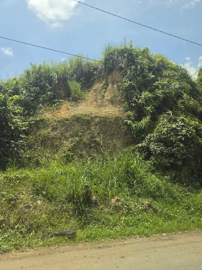 The image shows an eroded embankment covered in vegetation next to a paved road. The embankment is layered with exposed soil and is heavily overgrown with grass, vines, and bushes. A power line runs across the upper left portion of the image against a blue sky with scattered clouds. A discarded bottle and black object lies in the grass at the edge of the road. The location is Seumadam, Indonesia.