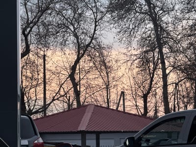 The image depicts an outdoor scene in Argin, Uzbekistan, at either dawn or dusk, characterized by a sky transitioning from pale grey-blue at the top to a prominent orange-pink hue near the horizon. Dominating the upper and middle ground are numerous silhouetted deciduous trees with bare, intricate branches. Several dark, vertical utility poles are visible among the trees. In the lower-middle section, the red, corrugated metal hip roof of a building is prominent, with a small portion of a white facade visible beneath it. Two vehicles are partially visible: on the far left, the rear section of a dark grey SUV or hatchback is seen, with a red taillight reflector, partially obscured by a dark vertical structure. On the far right, the front-right quarter of another dark grey vehicle, likely a car or SUV, is visible, including its side window and part of the hood. No people or specific actions are discernible.