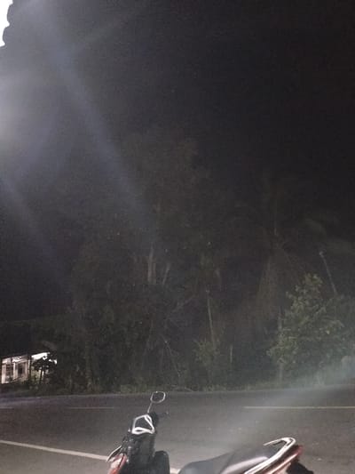 The image depicts a nighttime scene on a paved road in Rantopanjang, Indonesia. The foreground is dominated by the front of a motorcycle, its handlebars and mirrors visible. The road stretches into the background, bordered by a dark, dense line of trees and vegetation. To the left of the road, a small, illuminated building with a porch or veranda is visible, appearing to be a house or shop.
The lighting suggests it is night, with the building and the motorcycle being the primary light sources, along with some ambient light that creates a hazy effect, possibly due to fog or dust. The overall mood is quiet and somewhat mysterious due to the darkness and the limited visibility. The presence of the motorcycle suggests personal transport or a brief stop along the road. There is no visible text in the image.