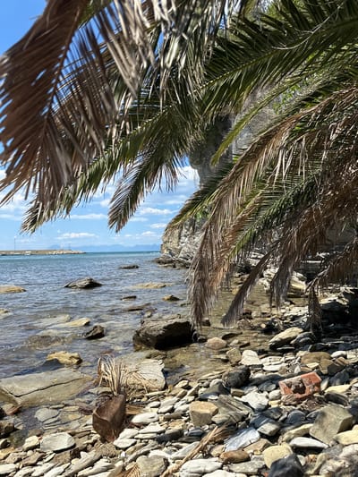 The image shows a view from a rocky shoreline in Agropoli, Italy, with a palm tree's fronds framing the scene. The beach is composed of various sizes of pebbles and rocks, some partially submerged in shallow water. The water extends to the horizon, where a distant coastline is visible. The sky is partly cloudy with a light blue hue. The rocks and palm fronds are illuminated by sunlight.