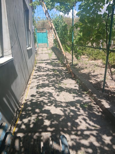 A concrete pathway runs alongside a grey building, disappearing into a shaded area. The building has a single window with white trim. A yellow hose runs along the base of the wall. The pathway is partially covered by dappled shadows cast by overhead foliage. Beyond the pathway, a green metal gate stands open, leading to a stone-paved area and more vegetation. A wooden ladder leans against a trellis covered in green vines. The ground is a mixture of soil and dry leaves. In the foreground, a portion of a wooden bench with blue paint is visible. The scene appears to be an outdoor space in a residential area, possibly a backyard or courtyard. The overall impression is one of a sunny day with partial shade.