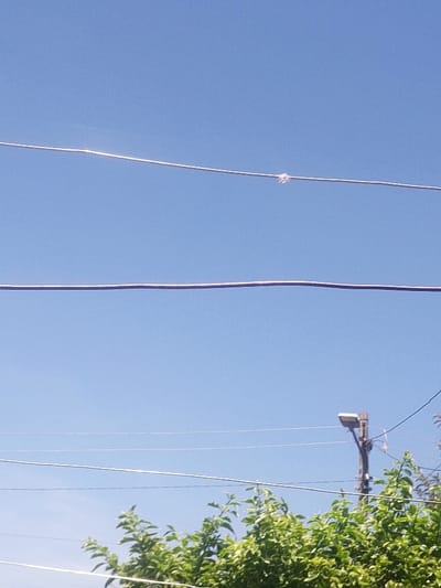 The image depicts an outdoor scene in Nachu ward, Kenya, under a clear blue sky. Multiple overhead utility wires run horizontally across the frame. A small, light-colored piece of debris, appearing to be knotted, is attached to the uppermost visible wire, slightly right of center. In the lower right quadrant, a wooden utility pole with a street lamp fixture is visible, partially obscured by green foliage that occupies the bottom portion of the frame. No individuals are present in the image.
