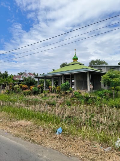 A daytime wide shot captures a semi-rural landscape under a partly cloudy sky with patches of bright blue. Overhead, three black power lines stretch horizontally across the frame.

The central subject is a concrete building, likely a mosque or prayer house, featuring a distinct green corrugated metal roof. A smaller, green dome with a golden finial, shaped as a crescent moon and star, adorns the roof. The building appears to be under construction or renovation, with exposed concrete pillars supporting the roof and some unfinished concrete walls.

In front of the building, a vibrant garden thrives with diverse tropical plants and lush green foliage, including broad-leafed plants and banana trees. Beyond this, to the left, older residential houses with corrugated metal roofs are visible, one featuring a small solar panel.

The foreground consists of a paved road or shoulder on the left. Adjacent to the road is a strip of dry, light-brown grass, which then transitions into a more dense area of tall green and dry reeds, indicating a ditch or waterlogged area separating the road from the main building and garden. Some scattered litter, including a blue plastic bag, is visible near the road's edge.

The overall scene suggests a peaceful, tropical environment. No people or visible text are present.