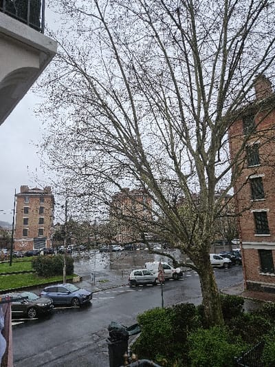 This image depicts a wet urban streetscape in Villeneuve-Saint-Georges, France, observed from an elevated perspective during daytime under an overcast sky.
The foreground on the lower left displays a segment of a light-colored architectural structure with an arched detail. A dark metal railing with integrated green foliage (bushes) is visible along the bottom edge, accompanied by a black trash receptacle on the left.
An asphalt road, reflective from wet conditions, occupies the lower and mid-ground. White dashed lines on the pavement delineate a junction. Two vehicles are present on this road in the lower left: a dark grey SUV/crossover and a blue SUV/crossover, both oriented towards the right. Further back, near the base of a prominent tree, a light grey hatchback and a white van are visible on the road. Numerous additional vehicles are parked in a lot beyond the immediate street.
A large, deciduous tree, primarily bare of leaves but showing nascent green buds, dominates the right half of the image, with its branches extending towards the top and right. Green grassy areas and low bushes are present in a landscaped section on the left. A street signpost bearing a circular, red-bordered sign (partially obscured) is situated near the center.
In the background, a multi-story brick building with dark window frames occupies the right side. To the left, a distinctive multi-story brick apartment building with an ornate roofline is visible. Another similar brick structure is positioned further back in the center-right. No individuals are discernible within the scene.