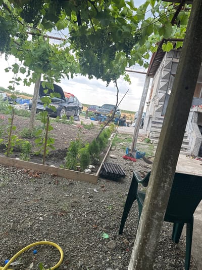 The image depicts an outdoor scene in Mlekarevo, Bulgaria, characterized by a garden area in front of a residential building. In the foreground, a gravel-covered yard is visible with a yellow hose coiled on the ground and a dark green plastic chair positioned partially obscured by a concrete pillar. To the left, a raised garden bed with wooden borders contains young plants and small pink flowers. Beyond the garden bed, a dark colored sedan with its hood open is parked, with another vehicle partially visible behind it. Overhead, a grape vine with clusters of green grapes hangs from a rustic support structure, partially shading the scene. The background includes a part of a stone-built house with an outdoor staircase and a cloudy sky overhead. Tools such as a broom and shovels are present on the ground near the building.