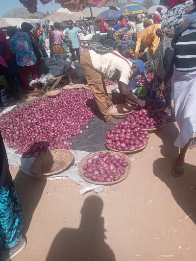 This image depicts an outdoor market scene in Gurku Gwari, Nigeria, under bright daylight conditions. The ground is unpaved, appearing as dry, dusty earth, with prominent shadows cast on the surface.
In the center of the frame, a large quantity of red onions is displayed for sale. A substantial pile of these onions rests on a dark ground cover. Surrounding this pile are multiple shallow, circular woven baskets, some filled with red onions and at least one empty.
A male vendor, positioned centrally and slightly left, is bent over the onion display. He wears a light-colored, long-sleeved shirt, brown cargo pants, and a blue cap. A dark backpack with a visible red strap is on his back. His hands are actively engaged with the onions, seemingly sorting or transferring them into a basket.
To the immediate right of the vendor, the lower torso and legs of an individual wearing a white sarong-like garment and dark sandals are partially visible. In the far left foreground, the lower extremities of another person, clad in blue patterned fabric, are also partially visible.
The background reveals a bustling market environment populated by numerous individuals of various ages and genders. They are dressed in a mix of colorful traditional and casual attire, moving between various market stalls equipped with umbrellas and light canopies, suggesting typical commercial activity.