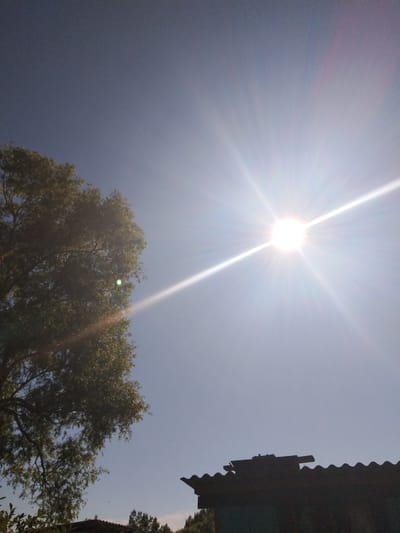 The image depicts a bright, sunny sky with a sunburst emanating from the upper right quadrant. The sun is a highly luminous sphere with distinct rays. In the lower left, a large tree with dark green foliage is visible, its branches extending towards the sky. Below the tree, in the lower right corner, the silhouette of a dark, corrugated roof structure is present. The sky is a clear, pale blue. The scene appears to be outdoors. There is no discernible indication of the specific location within the city of Antonovka, Russia. No people, actions, or interactions are evident in the image.