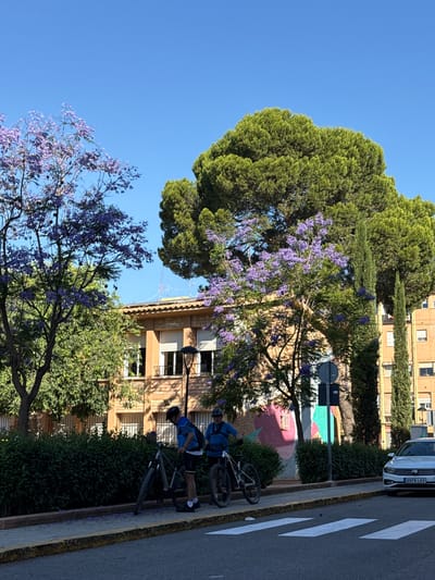 The image shows a street scene in l'Alcúdia de Crespins, Spain. A sidewalk runs along the right side of the frame, adjacent to a street with a zebra crossing. A white Volkswagen car, license plate 9978 LKV, is parked on the street. Two people are visible on bicycles; one is standing next to a bike, the other is seated on a bike. Both are wearing blue shirts. A wall mural is visible in the background. Trees with purple flowers are prominent on the left side of the frame. Buildings line the street, and the sky is clear and blue.