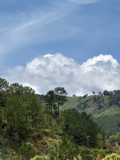 This is a landscape photograph taken in the city of Klong Klanh, Vietnam. The image depicts a view of rolling green hills covered in lush vegetation and tall pine trees. The foreground is dominated by dense evergreen trees, with some sparse vegetation and exposed reddish soil on the left side of the frame. A dirt road or path is visible winding up the hillside. In the mid-ground, more trees and rolling hills are present, with patches of terraced land, possibly for agriculture. The background consists of more distant hills and a bright blue sky filled with large, fluffy white clouds. The lighting suggests it is daytime, with bright sunlight illuminating the scene. No people or animals are visible in the image.