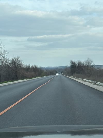 The image depicts a straight, two-lane asphalt road viewed from a low angle, likely from inside a moving vehicle, in Gorski Izvor, Bulgaria. A continuous orange-yellow line divides the roadway. The road edges are delineated by a white concrete or stone curb on both sides, particularly prominent on the right. Both sides of the road are flanked by dormant deciduous trees and shrubs, suggesting a late autumn or winter season. In the distance, several vehicles are observed traveling towards the camera's position. The horizon features undulating terrain, possibly indicating hills or distant settlements. The sky is uniformly overcast with layered grey clouds. A reflection of a vehicle's dashboard is visible at the bottom of the frame.