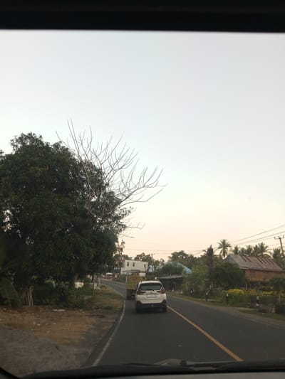 An outdoor, eye-level, medium shot captures a residential street in Pallawarukka, Indonesia. The scene is dominated by a two-lane asphalt road, marked with a yellow line down the center, that curves slightly to the right. A white SUV is seen driving away from the camera, with its license plate clearly visible. On the left side of the road, lush green trees and vegetation line the foreground, obscuring a portion of the road and sidewalk. In the distance, several houses with varied architectural styles, including a stilted wooden home with a brown roof and a smaller blue-roofed structure, are nestled among the trees. A utility pole with wires stretches across the horizon, and palm trees punctuate the landscape. The sky is a pale, hazy blue, indicating either early morning or late afternoon. A dark, blurred band across the top suggests the image was taken from inside a vehicle, likely from the windshield. The overall impression is of a tranquil, rural or semi-rural Indonesian setting.