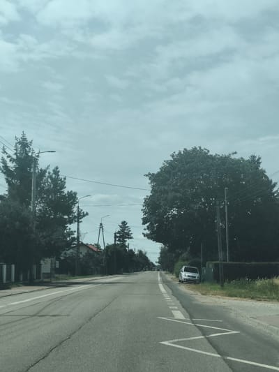 The image depicts a straight, paved road running through a semi-rural area in Łomna, Poland, under an overcast sky. On the left side of the road, there are fences, trees, and streetlights. On the right side, there is a large, dense tree, followed by a green hedge and a silver minivan parked on the shoulder. The road has white markings, including a solid white line, a dashed white line, and zigzag markings indicating a potential hazard or speed reduction zone. The overall scene is one of a quiet, suburban street with a hint of nature.