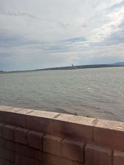 This media file shows a view of the sea from a stone embankment. The sea is choppy with small waves, and the water is a murky gray-green color. In the distance, a line of trees marks the coastline, and further inland, a few buildings are visible, one of which appears to be a tall industrial structure. The sky is overcast with large, wispy clouds. The embankment in the foreground is made of large, rough-hewn stones, some of which are darker and appear damp from the sea spray. There is a hint of what might be a plant or some debris on the edge of the embankment. The overall impression is a somewhat gray and uninviting day by the sea, possibly in the late afternoon or early evening given the subdued lighting. No people are visible in the image. The location is identified as Port-la-Nouvelle, France.