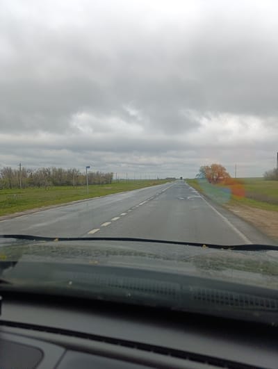 The image, likely taken from inside a moving vehicle, shows a wet asphalt road stretching into the distance under a cloudy sky. The foreground consists of the vehicle's dashboard. The road has a broken white line dividing lanes. On either side of the road, there are fields with sparse vegetation and trees; a few power poles are visible along the road. A small cluster of trees is seen on the right. There's a prismatic light effect visible on the right side of the photo. The image appears to be taken in a rural setting, but no specifics indicate the location as Volodarsky, Russia.