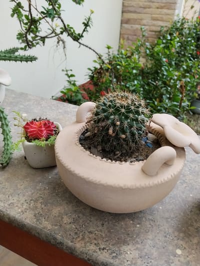 In Ban Patan, Thailand, two potted succulents are displayed on a speckled gray countertop. To the left, a small white pot holds a vibrant red cactus surrounded by tiny green plants. To the right, a larger, pale pink planter with decorative, hand-like handles contains a spherical green cactus. The background reveals lush green foliage with hints of red flowers and a light-colored brick wall.