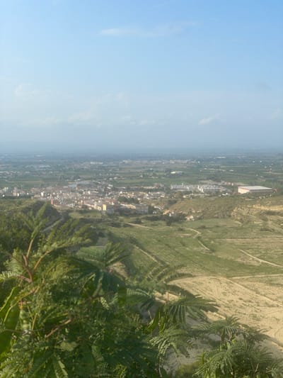 A landscape view from an elevated point, possibly a hillside or mountain, overlooking the Spanish city of Rojales. A town with houses and buildings is visible amidst green fields and agricultural plots. A large, light-colored building is visible near the horizon. The sky is light blue with some clouds. Vegetation is present in the foreground. The picture is vertically rotated.