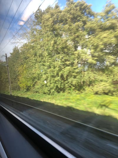 The image depicts a blurred outdoor landscape as viewed from the window of a moving vehicle, specifically a train, in the vicinity of Steinbourg, France. The lower portion of the frame shows the dark grey interior window frame with a thin white strip along its bottom edge. Beyond the window, two parallel railway tracks, dark and somewhat reflective, recede into the distance, bordered by a long shadow running parallel to them.

To the left of the tracks, a light grey utility pole stands vertically. Above it, multiple thin, dark lines, likely overhead power lines, are visible, partially as reflections on the window surface. The midground consists of a strip of vibrant green grass and low-lying vegetation, heavily affected by motion blur. The background is dominated by a dense wall of green deciduous trees and bushes, all exhibiting significant horizontal motion blur. Above the tree line, a segment of clear blue sky with scattered white clouds is visible. Two distinct small, white, rectangular reflections appear on the window glass within the blurred foliage in the mid-right area. The scene is illuminated by bright daylight.