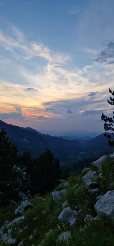 The image depicts a mountain landscape at dusk, likely near Ubla, Bosnia and Herzegovina, given the context. The foreground is characterized by large, grey rocks interspersed with lush green grass and some sparse wildflowers. Several dark green pine trees are visible on the left and right sides of the frame, with branches reaching upwards.

The mid-ground features a series of rolling hills and mountains, densely covered in vegetation, which appears to be forest. The colors here are deep blues and greens, fading into a hazy purplish hue in the distance.

The sky dominates the upper portion of the image. It displays a gradient of colors, transitioning from pale blue at the top to warm orange and pink hues near the horizon, indicative of sunset. Wispy white clouds are scattered across the sky, some elongated and streaky, others more diffused. The overall atmosphere is serene and natural, with no visible signs of human presence, man-made structures, or any identifiable landmarks specific to Ubla. The lighting suggests the sun has recently set or is on the verge of setting.