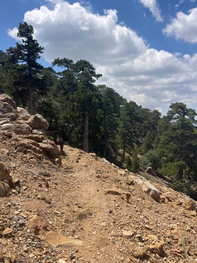 A hiking trail winds through a rocky, forested slope in Prodromos, Cyprus. The trail is made of dry, loose soil and scattered rocks, with larger boulders and rocky outcrops lining its left side. Dense evergreen trees, likely pines, cover the slope behind the trail, their dark green foliage contrasting with the lighter brown and yellow of the rocks. The sky above is blue with scattered white, fluffy clouds. In the mid-ground, near the trail, a weathered metal structure, possibly part of an old bench or signpost, is visible. The overall scene depicts a natural, outdoor environment characteristic of a mountainous region.