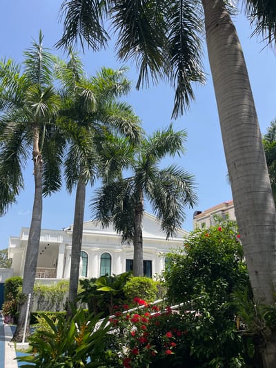 The image captures a tropical outdoor scene on a clear day in Bang Sao Thong Subdistrict, Thailand. The foreground is dominated by lush green foliage and vibrant red flowers, with several palm trees framing the view. In the midground, a large, ornate white building with classical architectural elements stands out. The building features arched windows, columns, and a balcony with outdoor seating. To the right, another large palm tree trunk is visible, and further in the background, a portion of a lighter-colored building with a reddish-tiled roof can be seen. The sky is a bright, cloudless blue. There are no people or animals visible in the image. The overall impression is one of a well-maintained, affluent property in a tropical setting.
