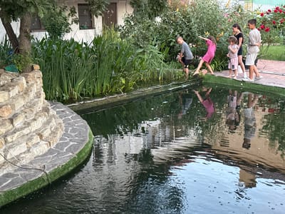 In Myskhako, Russia, a group of five children are gathered by a pond on a bright, sunny day. The pond is surrounded by lush greenery, including tall reeds and blooming roses, suggesting a warm season. The children, appearing to be between approximately 4 and 14 years old, are dressed in casual summer clothing. One boy, wearing a grey t-shirt and black shorts, is reaching into the water. Another girl, in a bright pink dress, is standing with one foot in the pond, looking down. A younger girl in a light pink outfit and two older children, a girl in a black dress and a boy in a light-colored t-shirt and shorts, are also near the edge. The scene is serene, with the children seemingly engaged in exploring the pond or observing something within it. Reflections of the children and the surrounding foliage are visible on the water's surface, hinting at a clear and calm atmosphere. The setting appears to be a backyard or garden, with a stone wall and a building visible in the background. No visible text is present in the image.