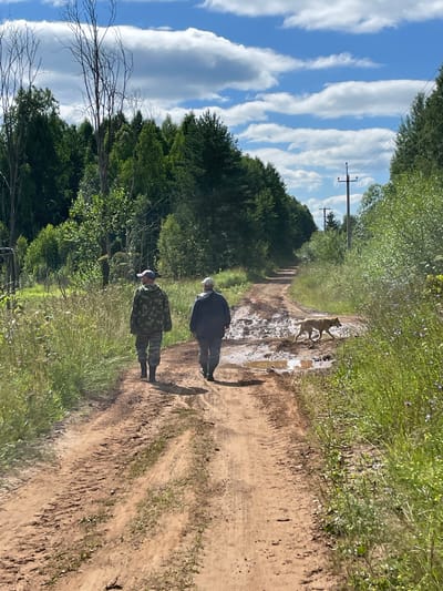 Two individuals, one wearing a camouflage jacket and pants, and the other in a dark jacket and pants, walk away from the camera on a dirt road. They are positioned in the left-center of the frame. A light-colored dog is trotting on the road ahead of them, to the right of the center. The road is muddy and has puddles, suggesting recent rain. The road is bordered by lush green foliage and trees. In the background, a power line pole is visible. The sky is blue with scattered white clouds. The scene appears to be a rural location, possibly in the area of Dresvyanovo, Russia, given the presence of trees, a dirt road, and the power line.