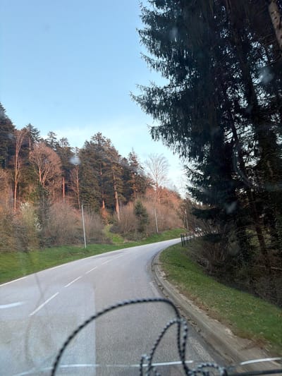 The image depicts a winding asphalt road through a forested, hilly landscape in Le Saulcy, France, viewed from inside a moving vehicle. The bottom foreground shows portions of what appears to be a bicycle handlebar or chain. The two-lane road features a solid white line on its right edge and a broken white center line, curving right and ascending. To the left of the road, a grassy verge leads to a steep slope covered with a mix of evergreen and deciduous trees, some appearing bare with a reddish tint from low-angle sunlight. Two light-colored utility poles are positioned on this slope. To the right, a grassy verge borders a black wire fence, beyond which dense evergreen trees stand. A clear, light blue sky is visible above the tree line. In the distance, on the right side of the road, a light-colored vehicle with illuminated headlights is partially visible around the curve. No people are discernible.