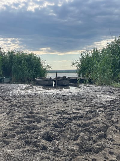 The image depicts a muddy shoreline of a body of water, possibly the Dniester River near Manta, Moldova. Three small, dark-colored boats are partially submerged in the shallow water, resting near a dense growth of tall green reeds. The foreground is dominated by dark, wet, and textured mud, with visible footprints and indentations. The sky above is overcast with dramatic clouds, with glimpses of lighter sky and distant hazy landmasses on the horizon. The overall scene suggests a natural, undeveloped waterfront environment.