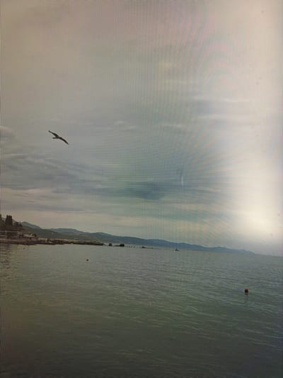 A solitary seagull flies above a tranquil body of water. In the background, a shoreline is visible, lined with hills and vegetation. The sky is overcast with scattered clouds, and the overall lighting suggests an overcast day. A small, reddish buoy is present in the water, indicating it is likely a coastal or lake environment. The scene depicts a peaceful natural setting.