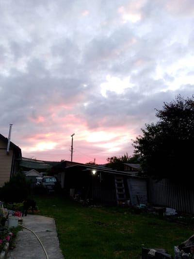 The image captures a twilight scene in Psebai, Russia, with a sky painted in hues of pink, white, and gray from the setting sun. Heavy clouds dominate the upper portion of the frame, with streaks of pink light breaking through, suggesting a dramatic sunset. Below the sky, a rural backyard is visible.
In the foreground, a patch of green grass slopes gently towards the viewer, with a concrete path winding through it. A black dog stands on the grass, facing towards the left side of the frame. Various gardening items, including a bucket and some flowers, are scattered near the path.
The middle ground reveals several structures. A wooden house with a metal chimney stands on the left. Adjacent to it is a shed or garage with a dark roof. Two dark-colored cars are parked in front of another low building with a green roof. A wooden ladder leans against a gray shed. The scene is dimly lit, emphasizing the natural light from the sky.
In the background, more trees and houses are visible, blending into the dusky atmosphere. A utility pole with electrical wires crosses the sky, adding a man-made element to the natural landscape. The overall mood is tranquil and serene, characteristic of the end of a day in a rural setting. The presence of the dog and the garden elements suggest a lived-in, domestic space. No visible text is present in the image.