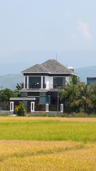 The image shows a two-story building in Dien Tho, Vietnam. The building has a grey roof and a white facade with dark-tinted windows. A narrow balcony is visible on the upper level. A palm tree and other foliage grow near the house. A mowed lawn with alternating green and yellow patches sits adjacent to the structure. Distant mountains are visible in the background beneath a pale blue sky. A power line is present on the lower left of the building.