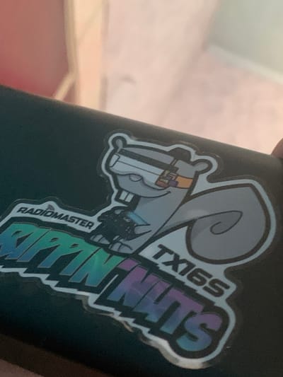 A sticker is affixed to a dark surface, possibly a laptop. The sticker features a cartoon squirrel wearing goggles and holding a controller. Text on the sticker reads "RADIOMASTER" above the squirrel and "RIPPIN' NUTS TX16S" below it, with the letters in the latter phrase exhibiting a gradient of green and purple. The background is out of focus, showing shades of pink and cream, suggesting an indoor setting. There is no indication of the location being in Henzerivka, Ukraine.