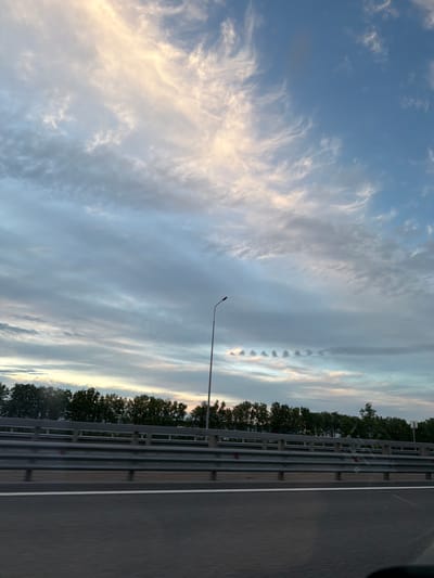This vertically oriented photograph captures a serene sky and roadside scene, likely from a moving vehicle in Levashovo, Russia, during either dawn or dusk. The majority of the image is dominated by the sky, displaying a blend of soft blue, white, and grey clouds. On the left, wispy, elongated white clouds suggest high-altitude formations, while the central sky is covered by more uniform grey cloud cover. A notable detail is a distinct horizontal line of evenly spaced, small, dark, cloud-like formations stretching across the mid-right sky, possibly a unique atmospheric phenomenon or dissipating contrails.

Towards the bottom right, a section of a multi-lane asphalt road is visible, featuring a clear white lane divider. A sturdy metal crash barrier, composed of multiple horizontal rails and vertical posts, runs alongside the road. Behind this barrier, a dense line of dark green trees stands, their canopies silhouetted against the lighter sky. A tall streetlamp pole, with an arm extending over the road, is silhouetted in the middle ground. The lighting is soft and diffused, with hints of warm tones on the horizon and within some clouds, characteristic of sunrise or sunset. No people or visible text are present in the image.
