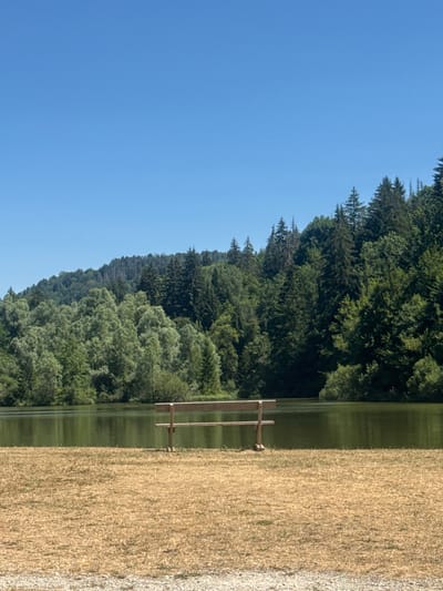 The image captures a tranquil natural scene at a lake in Coteaux du Lizon, France. In the foreground, a wooden bench sits on dry, golden grass. Beyond the bench, a calm body of water reflects the lush green trees that blanket a sloping hillside. The sky above is a clear, vibrant blue. The environment appears to be untouched and serene, suggesting a peaceful outdoor setting. There are no people or animals visible in the image.
