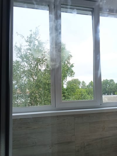 The image shows a view through a modern window frame from inside a room. The window is divided into two vertical panes, with a white frame. Outside, a dense canopy of green trees fills the view, with some buildings partially visible behind the foliage on the left. The sky is overcast and bright. The interior of the room is partially visible at the bottom of the frame, showing a wall paneled with light-colored wood-effect material. There are no people or animals visible in the image. The scene appears to be located in a suburban or rural area, given the prevalence of trees and the type of buildings seen. Based on the provided metadata, the location is Novyy, Russia.